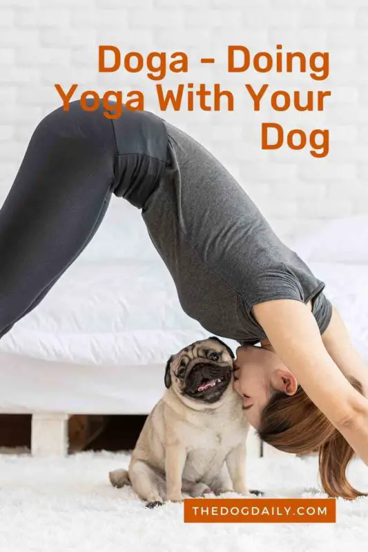 Doga thedogdaily.com