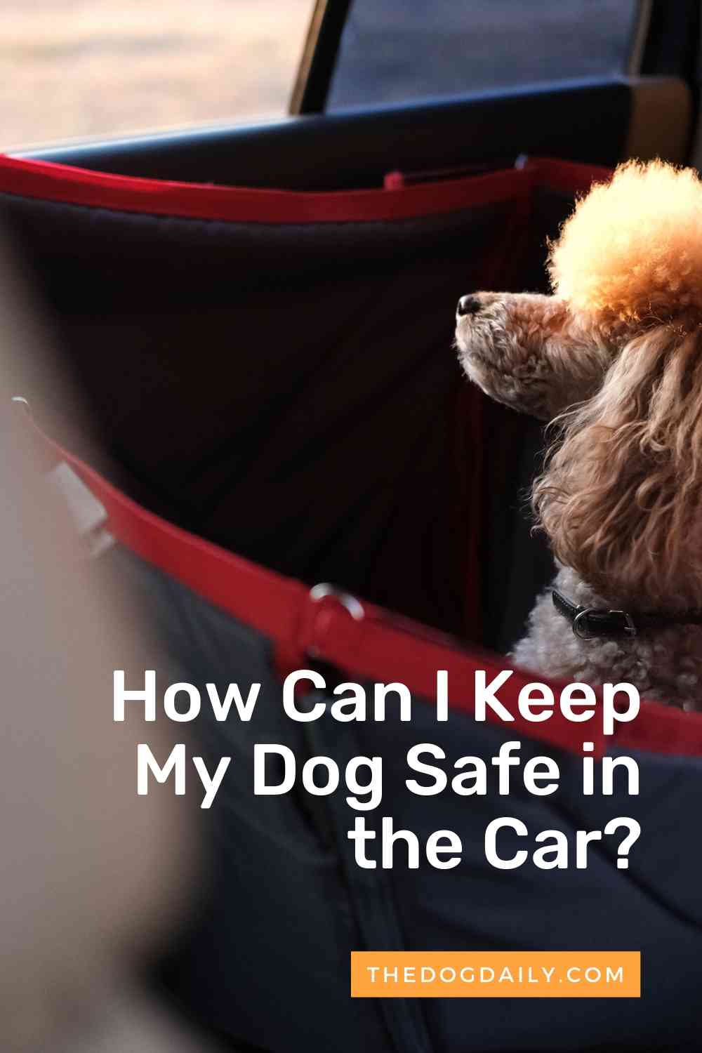 Car Travel and Your Dog How Do I Keep My Dog Safe in the Car?
