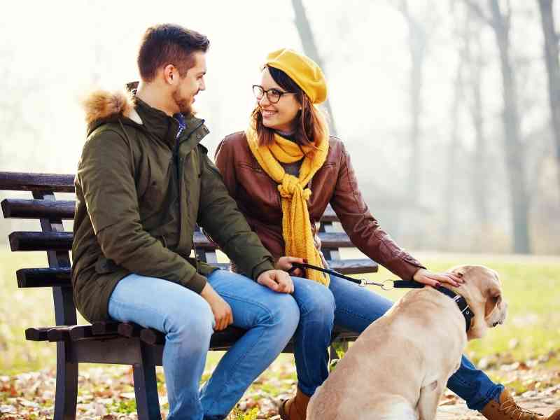 Is There a Dating Site For Dogs and Animal Lovers?