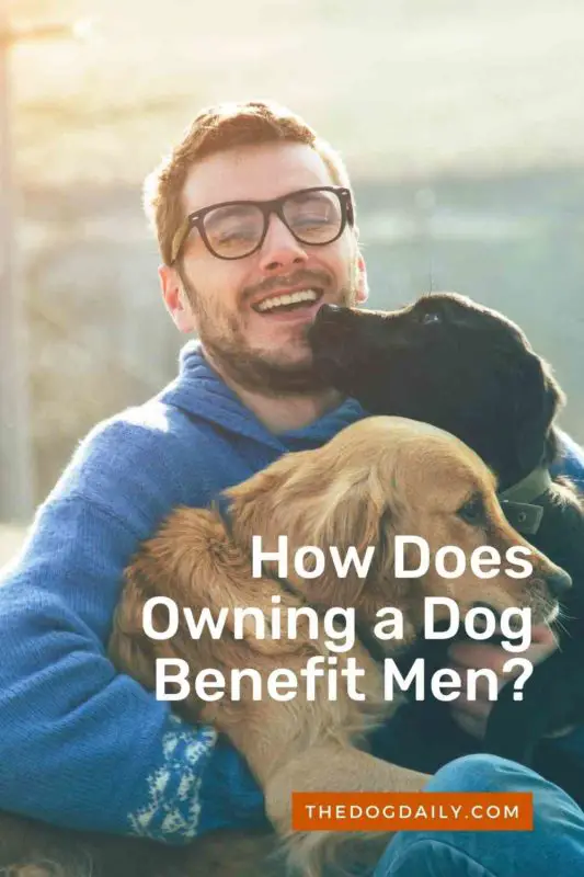 How Does Owning a Dog Benefit Men thedogdaily.com