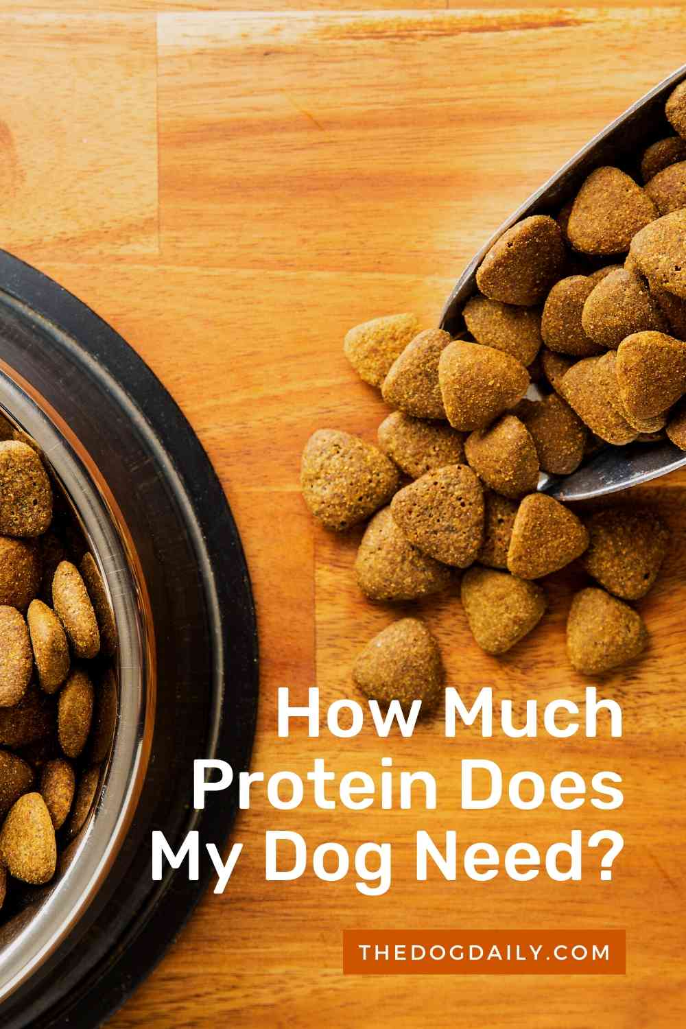 The Importance and Benefits of Protein in Your Dog’s Diet
