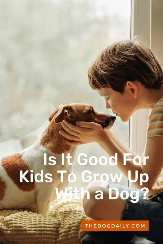 Is It Good For Kids To Grow Up With a Dog thedogdaily.com