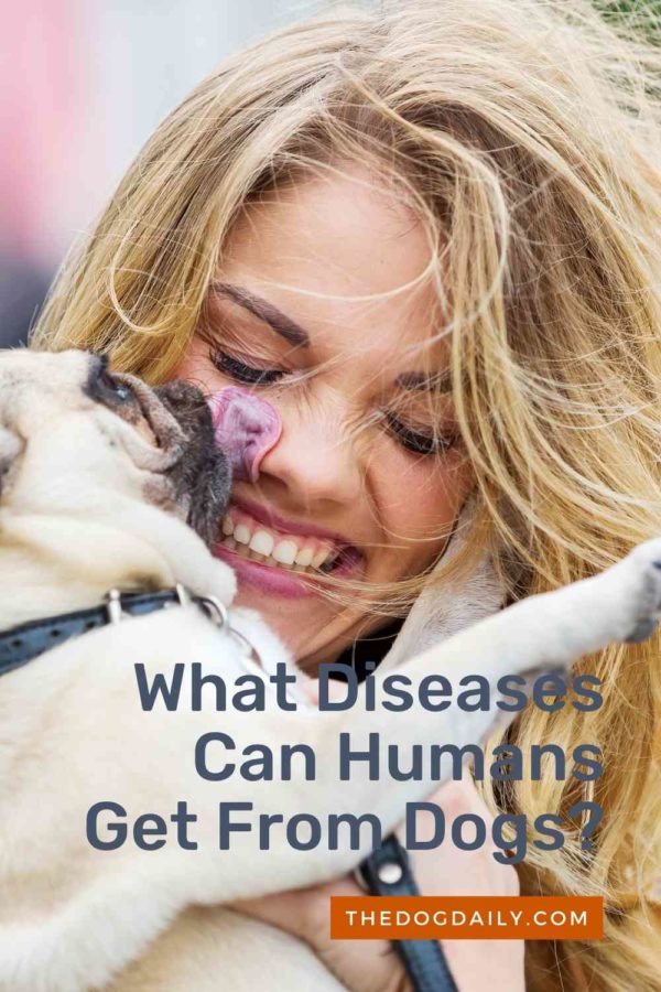 Can Humans Get Sick from Dogs? The Dog Daily