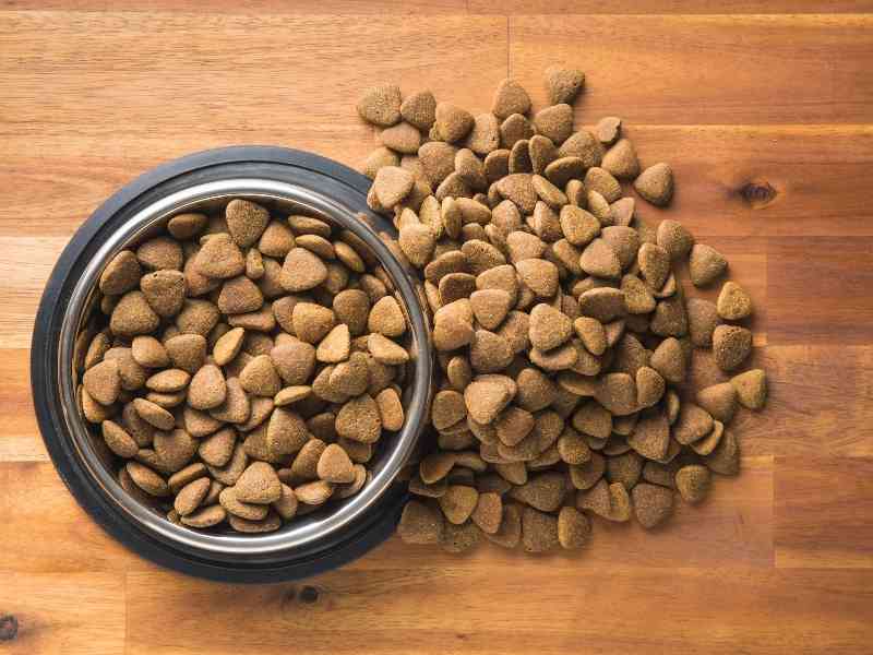 Selecting the Best Dog Kibble - The Dog Daily