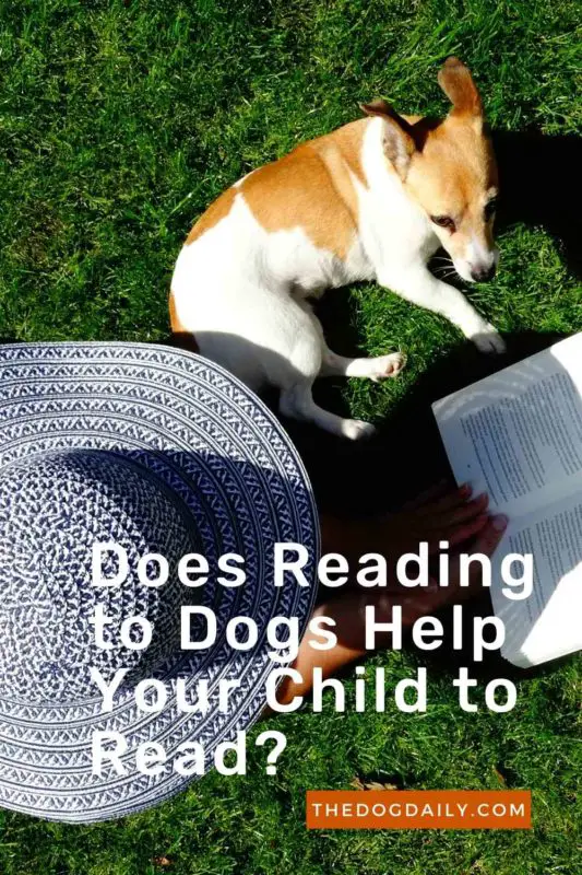 Does Reading to Dogs Help Your Child to Read