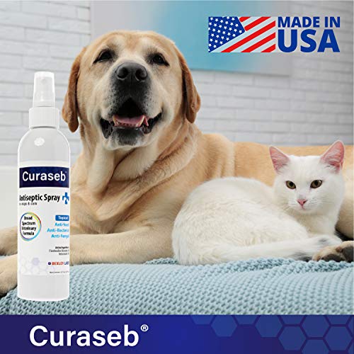 curaseb shampoo