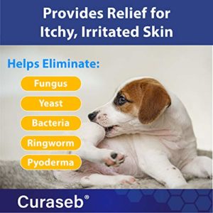 ringworm spray for dogs