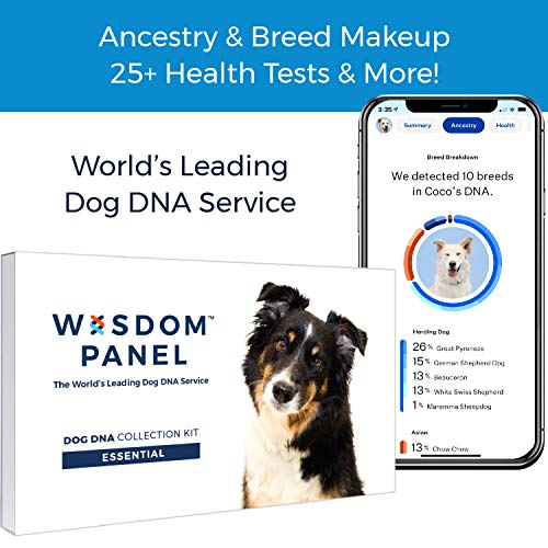 wisdom panel dog dna test kit