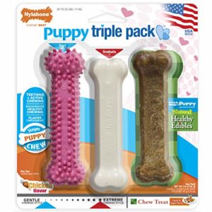 Puppy Triple Pack Chew Toys 8 thedogdaily.com