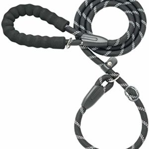 Durable Thick Nylon Dog Leash with Padded Handle 4 thedogdaily.com
