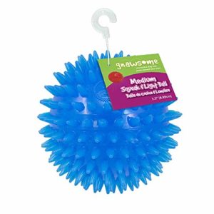 Gnawsome Spiky Squeak & Light Ball Dog Toy - Medium 6 thedogdaily.com