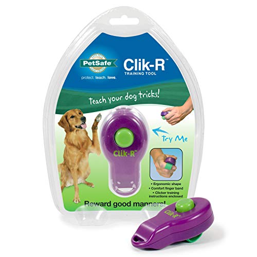 1x Dog Pet Click Clicker Training Obedience Agility Trainer Aid Wrist StrapGK 