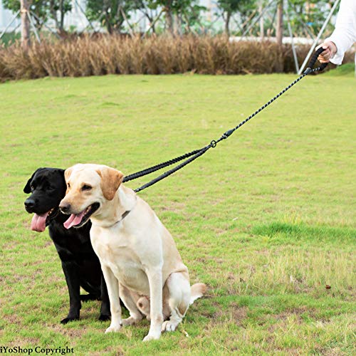 Double Dog Leash,360° Swivel No Tangle Double Dog Walking & Training Leash Comfortable Shock Absorbing Reflective Bungee for Two Dogs 