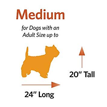 dog crate starter kit