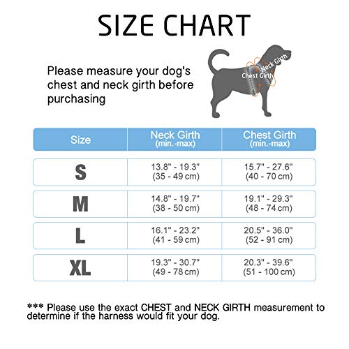 Rabbitgoo No Pull Dog Harness The Dog Daily