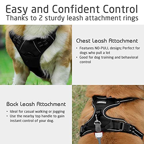 rabbitgoo dog harness sizing