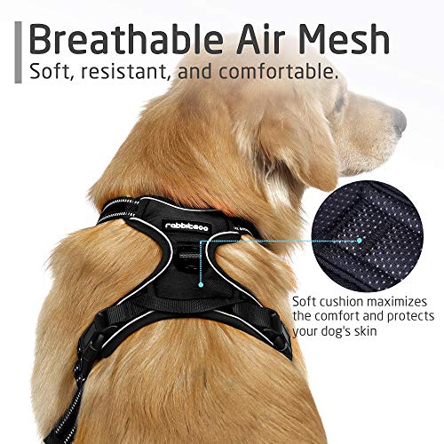 Rabbitgoo Dog Harness No Pull Pet Harness Adjustable Reflective Oxford Material Vest for Dogs Blue, S 