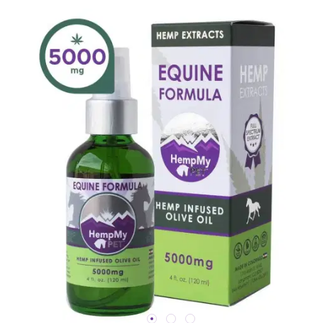 Where to Buy CBD Gummies in Augusta