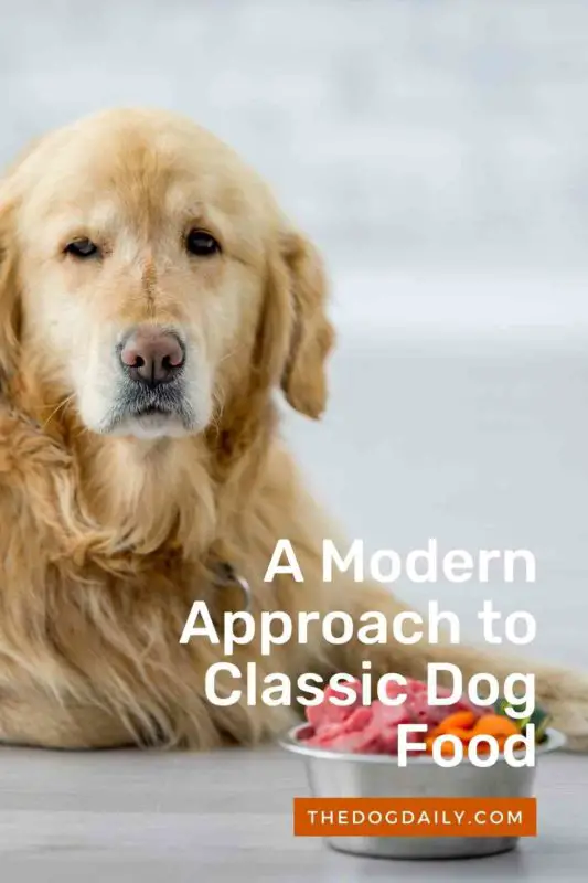 A Modern Approach to Classic Dog Food thedogdaily.com