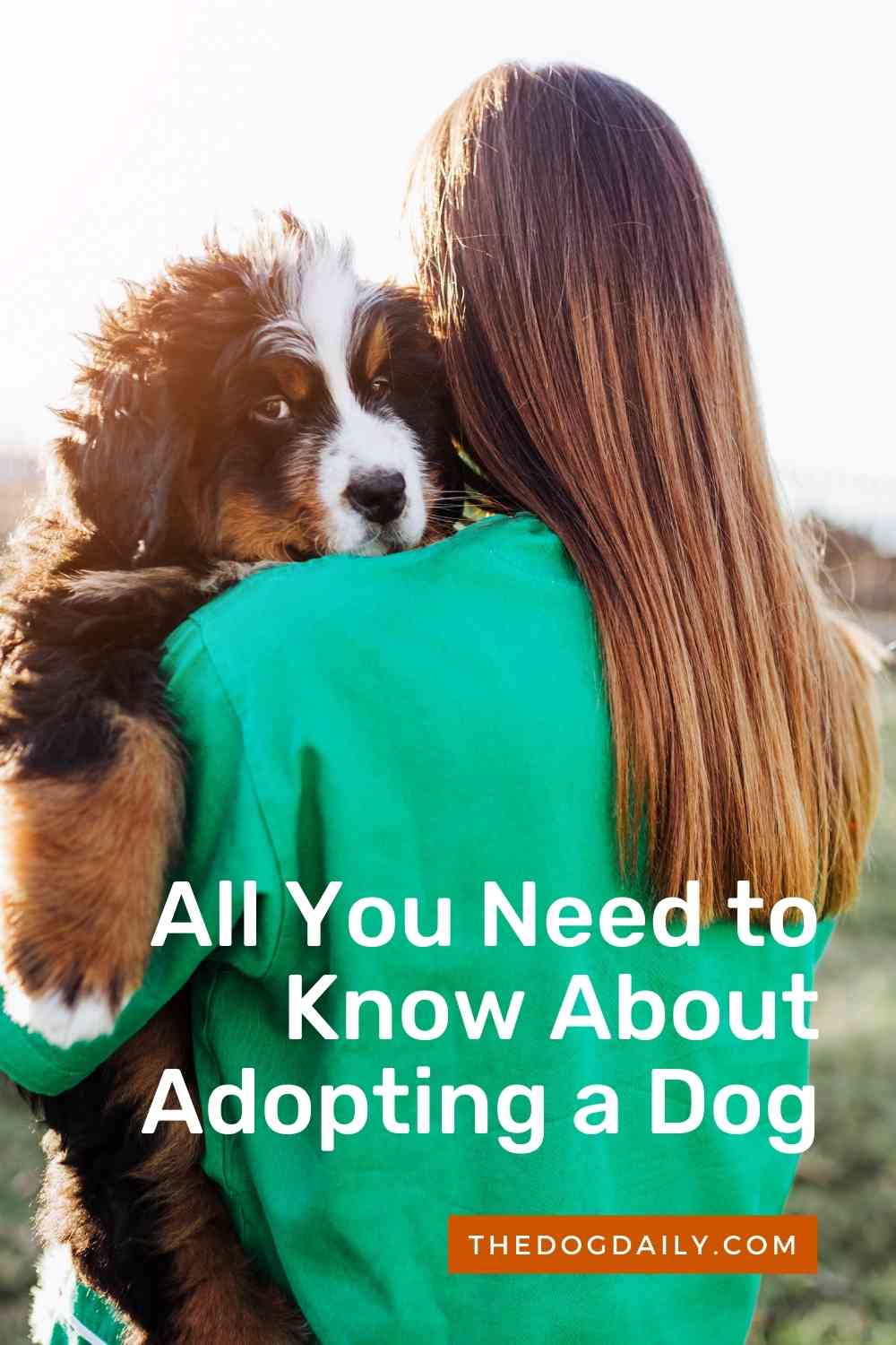The Best Dog Adoption Guide The Dog Daily