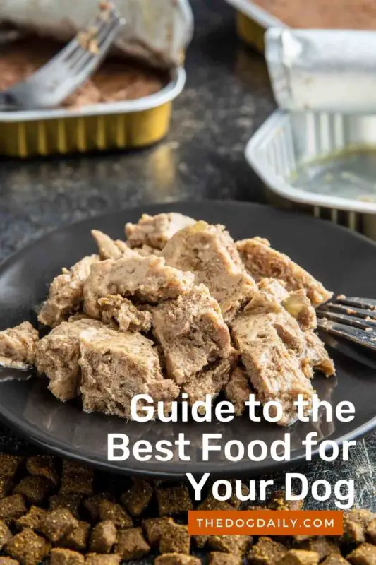 Food for Your Dog thedogdaily.com