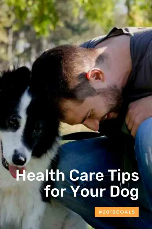 Health Care Tips for Your Dog thedogdaily.com