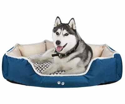 Kroser thedogdaily.com