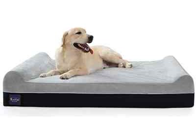 Laifug thedogdaily.com