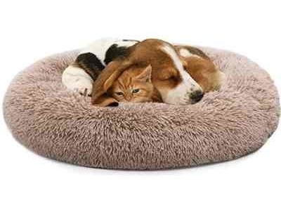 Mixjoy thedogdaily.com