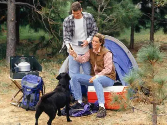 Camping with dog